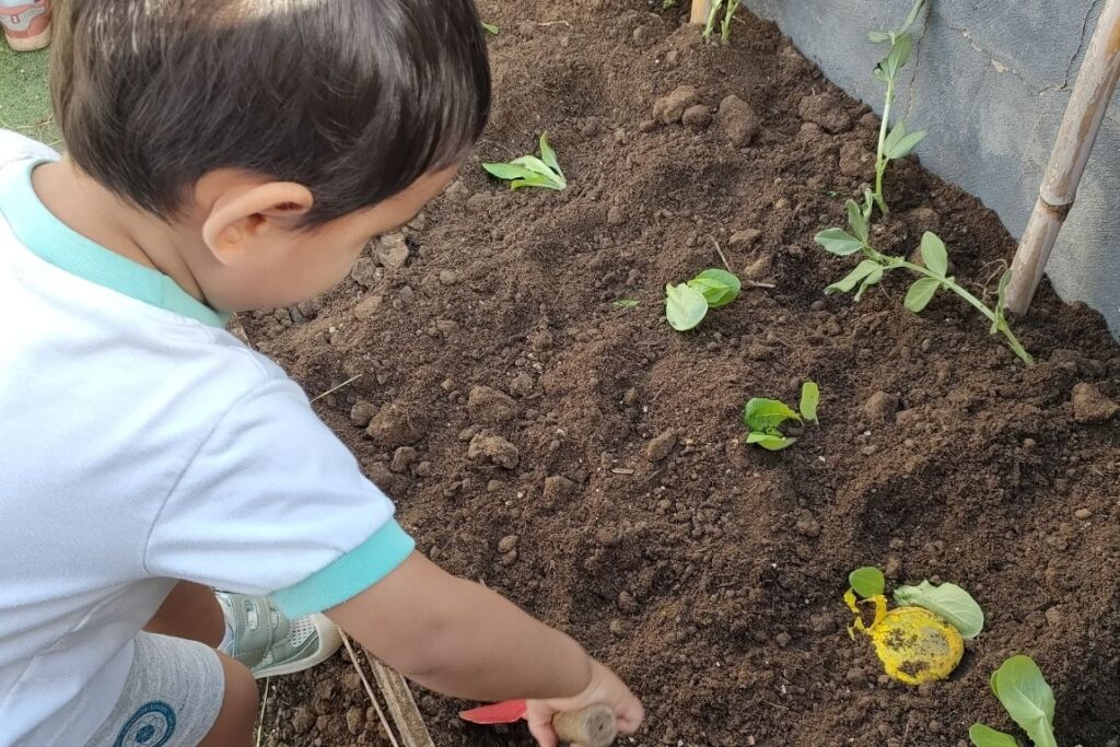 Infant Community Gardening